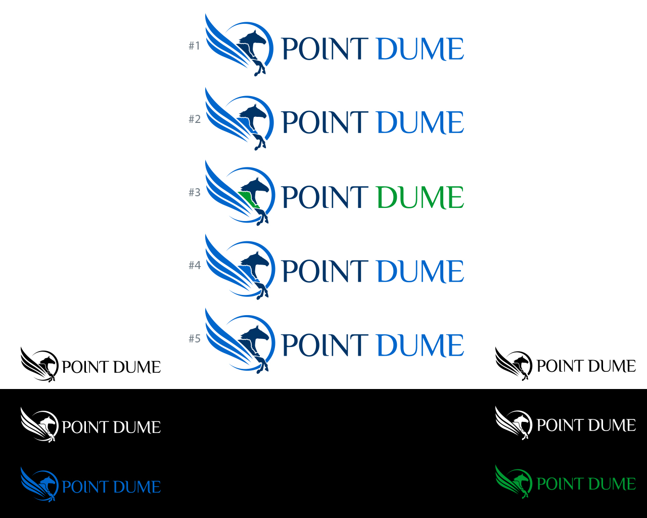 Diseño de Logo por damakyjr para Point Dume Limited | Diseño #4399446
