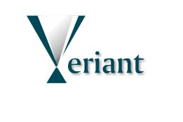 Logo Design by BSEEN