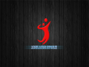 Logo Design by usalogoking