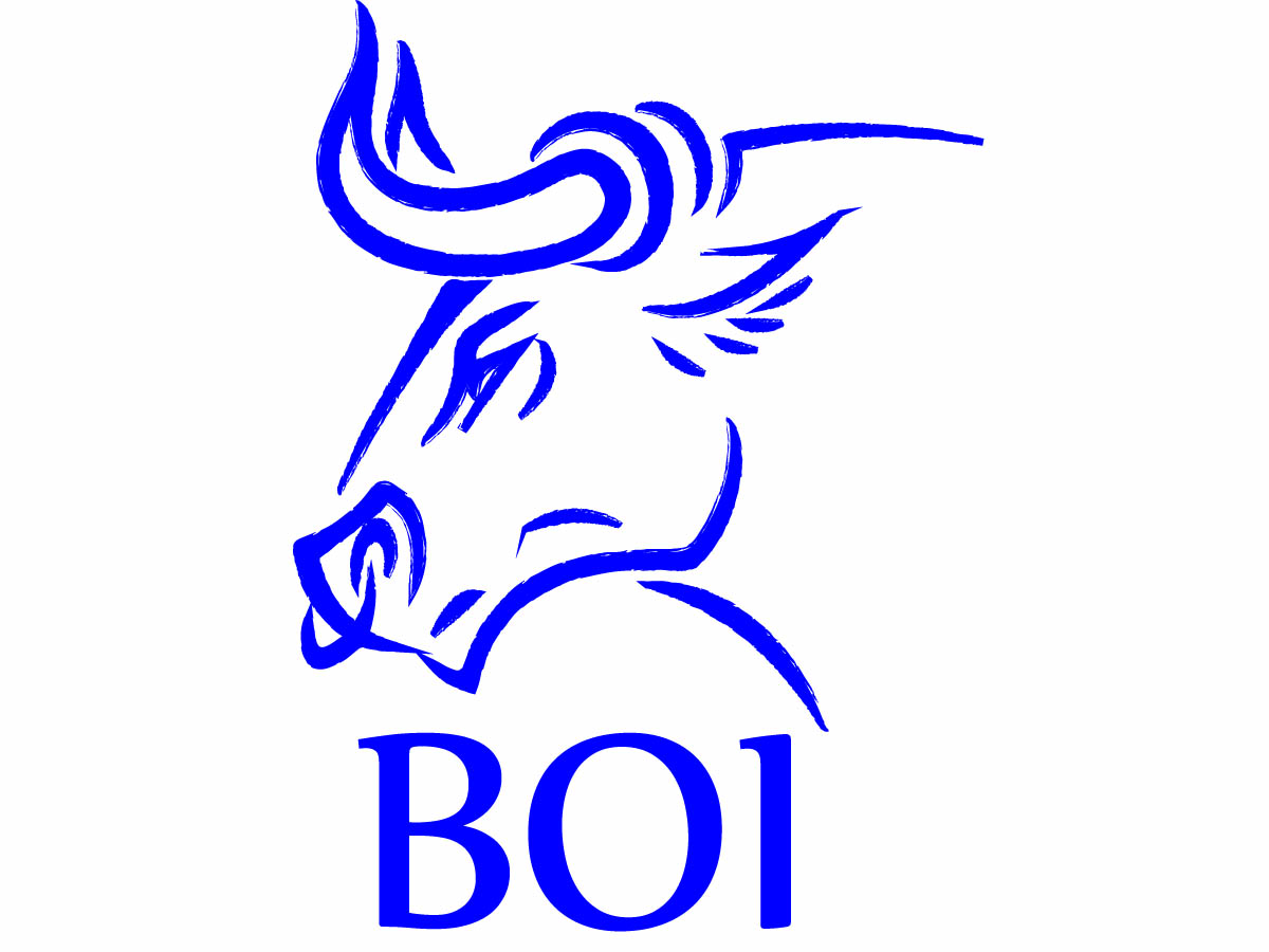 Logo-Design von bdzgeo für FLY DRAGON ATHLETICS | Design #4423370