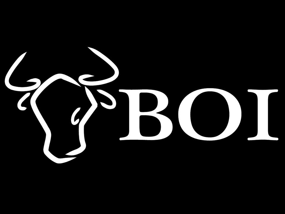 Design de Logo par josvan pour FLY DRAGON ATHLETICS | Design #4445131