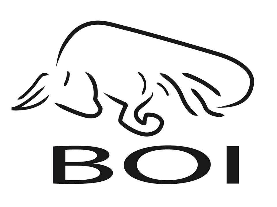 Logo Design by josvan for FLY DRAGON ATHLETICS | Design #4445153