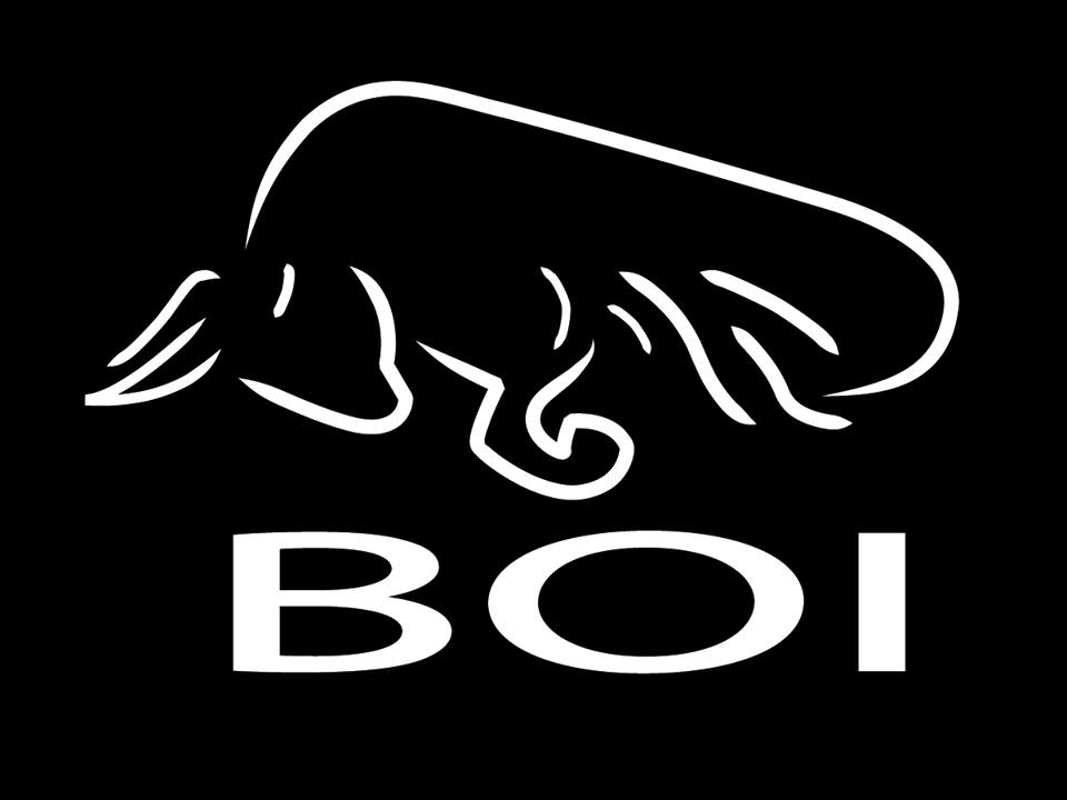 Logo Design by josvan for FLY DRAGON ATHLETICS | Design #4445154