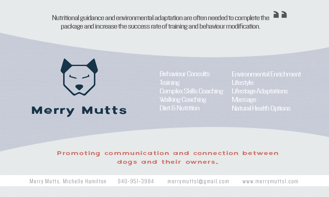 Visitenkarten-Design von Daniel Pombeiro für dieses Projekt | Design #4366431