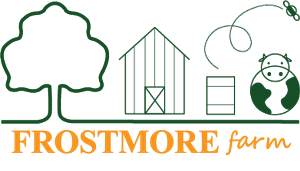 Logo Design by Isabel Raposo