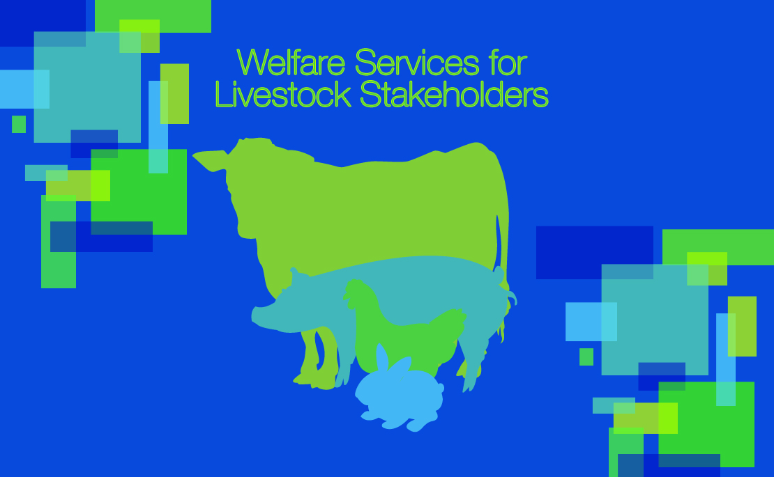 Visitenkarten-Design von Cherisse für dieses Projekt | Design #4397979