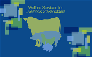 Business Card Design by Cherisse