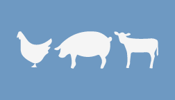 Diseño de Tarjeta de Presentación por JustinZammit para este proyecto | Diseño: #4359935