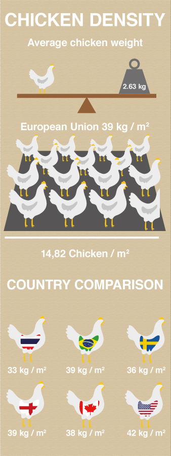 Infografik-Design von Oliver.Ryg für dieses Projekt | Design #4372733