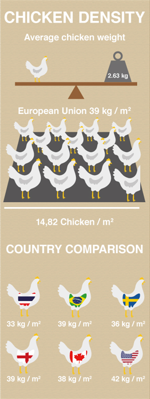 Infographic Design by Oliver.Ryg