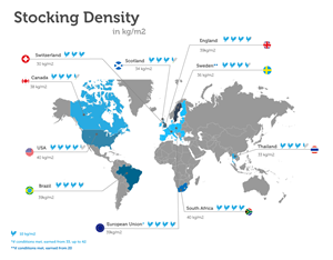 Diseño Infográfico por Sigita para este proyecto | Diseño: #4399512