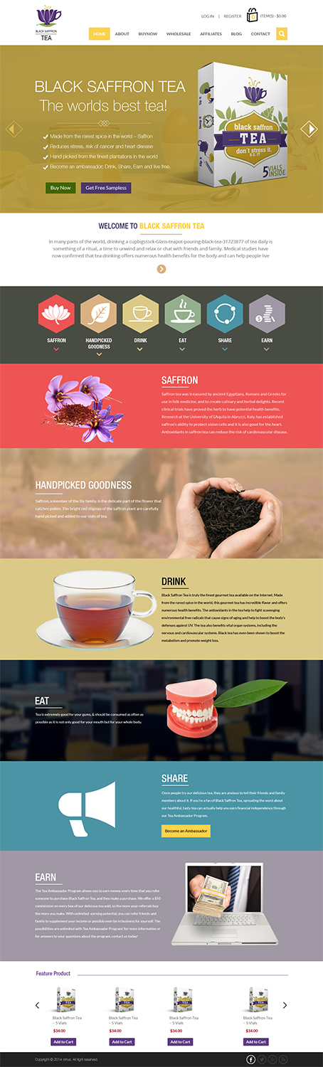 Wordpress Design by Creative Usha for this project | Design #4390407