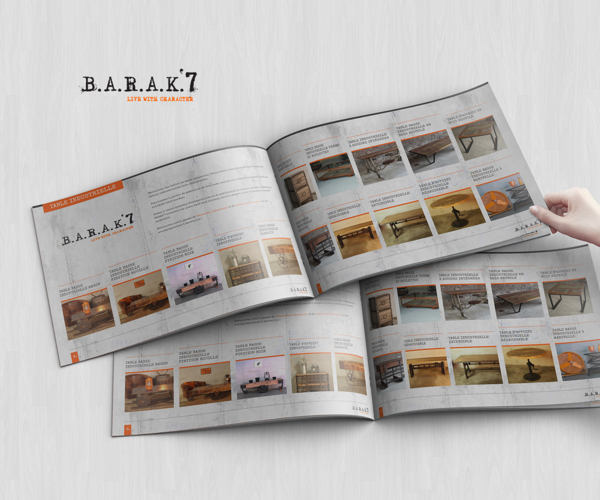 Brochure Design by Oilegak for this project | Design #4365926