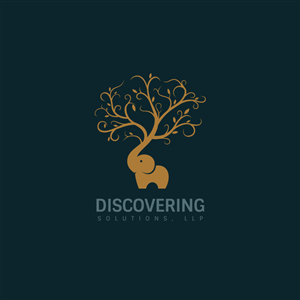 Discovering Solutions, LLP | Logo Design by OD
