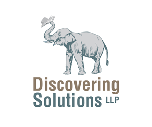 Discovering Solutions, LLP | Logo Design by Nomad Designs
