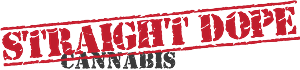 Logo-Design von nvdesigns für dieses Projekt | Design #4695055