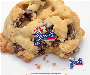 Logo Design by Mahmoud Shahin for Synobe | Design: #1250846