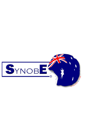 Logo Design by Denis Arwindra