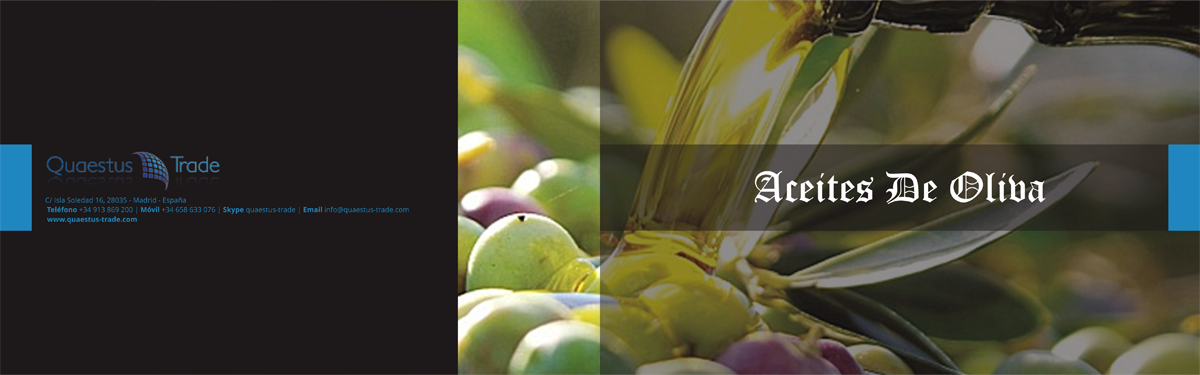 Catalogue Design by barinix for Quaestus & Trade S.L. | Design #4432000