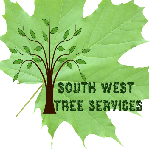 Logo Design by $0N!$0FT for this project | Design #4369217