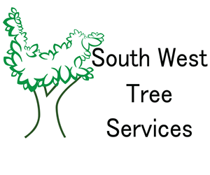 Logo Design by nitinchande