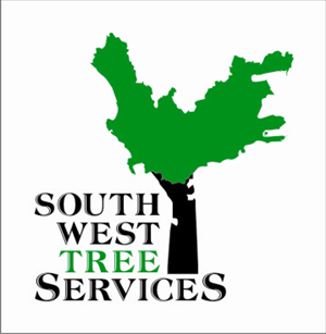 Logo Design by amitabh
