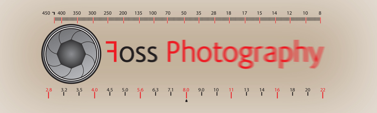 Logo Design by mahshokeir for this project | Design #4371115