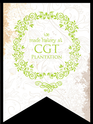 Graphic Design by designbox for this project | Design #4443668