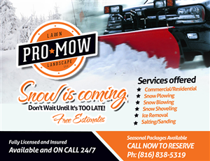 Flyer Design by AQKhan for this project | Design: #4402168