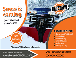 Flyer Design by Asif Taimuri for this project | Design #4395803
