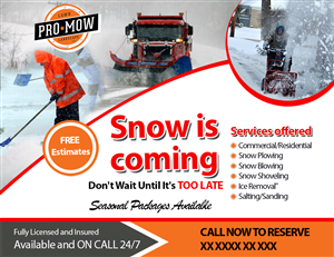 Flyer Design by Asif Taimuri for this project | Design: #4395809
