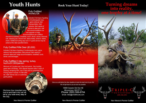 Brochure Design by noelopan1955