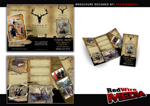 Brochure Design by Red Wire Media