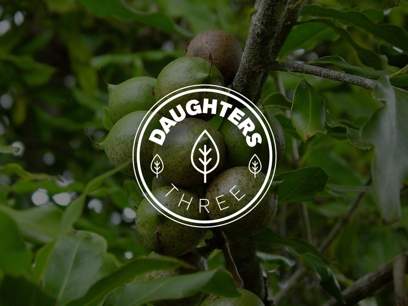 Logo Design by JASM Design for this project | Design #4444139