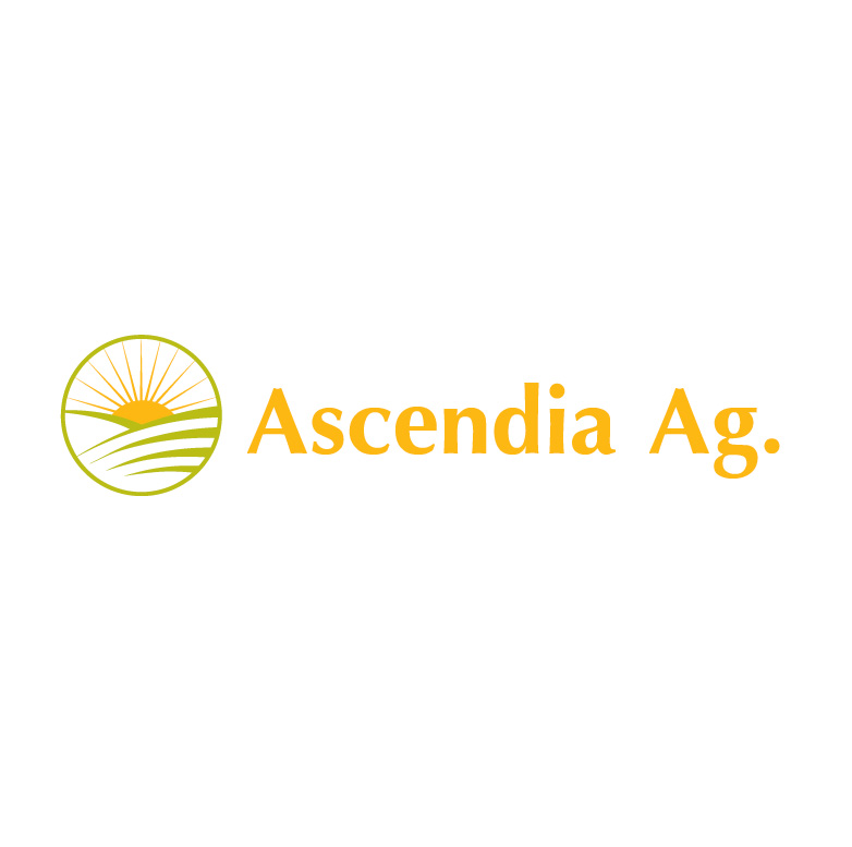 Logo Design by Design Possibilities for this project | Design #4437750