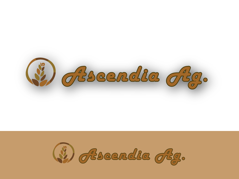 Logo Design by alishahsyed.18 for this project | Design #4415876