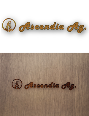 Logo Design by alishahsyed.18 for this project | Design: #4415965
