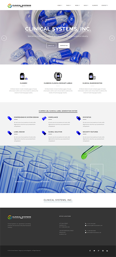 Web Design by Luzmiladdl for this project | Design #4428791