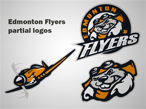 41 masculine logo designs logo design project for a business in canada flyers with logos