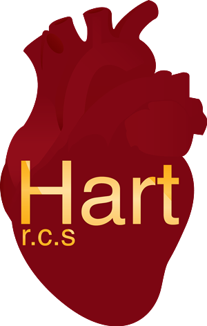 Logo Design by 45DWorks