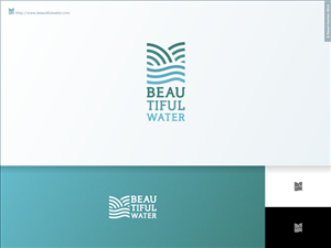 pure source h2o | Logo Design by Raoul Camion