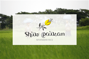 Logo Design by WITS