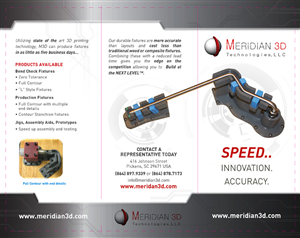 Meridian 3D Brochure 