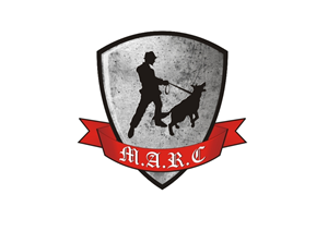 Logo Design by bigbay