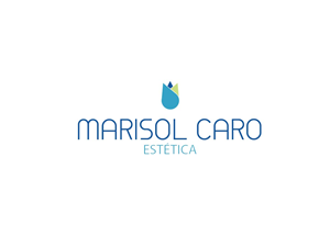 Logo Design by LFN Design
