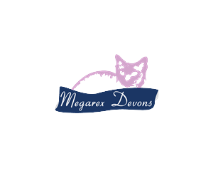 Diseño de Logo por meygekon para este proyecto | Diseño: #4452349