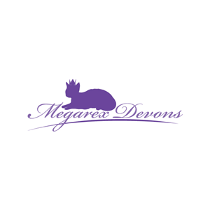 Diseño de Logo por shakar para este proyecto | Diseño: #4455423