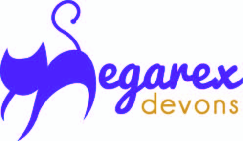 Logo Design by ordelya.nicole for this project | Design #4443303
