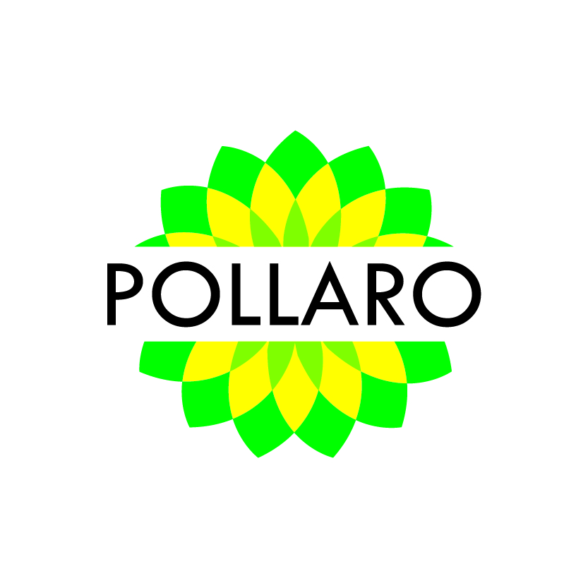 Logo Design by Raheel Saeed for this project | Design #4428352