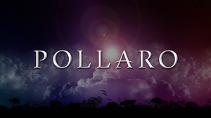Logo Design by Mode Graphic Design Agency